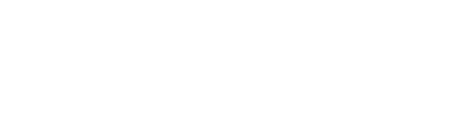 Logo 12